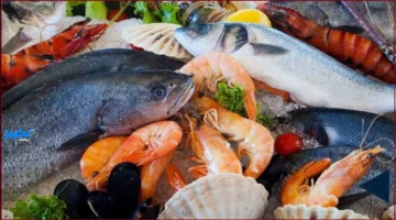 أسعار اليوم.. تحديث أسعار الأسماك في الأسواق الأحد 5 أكتوبر 2025